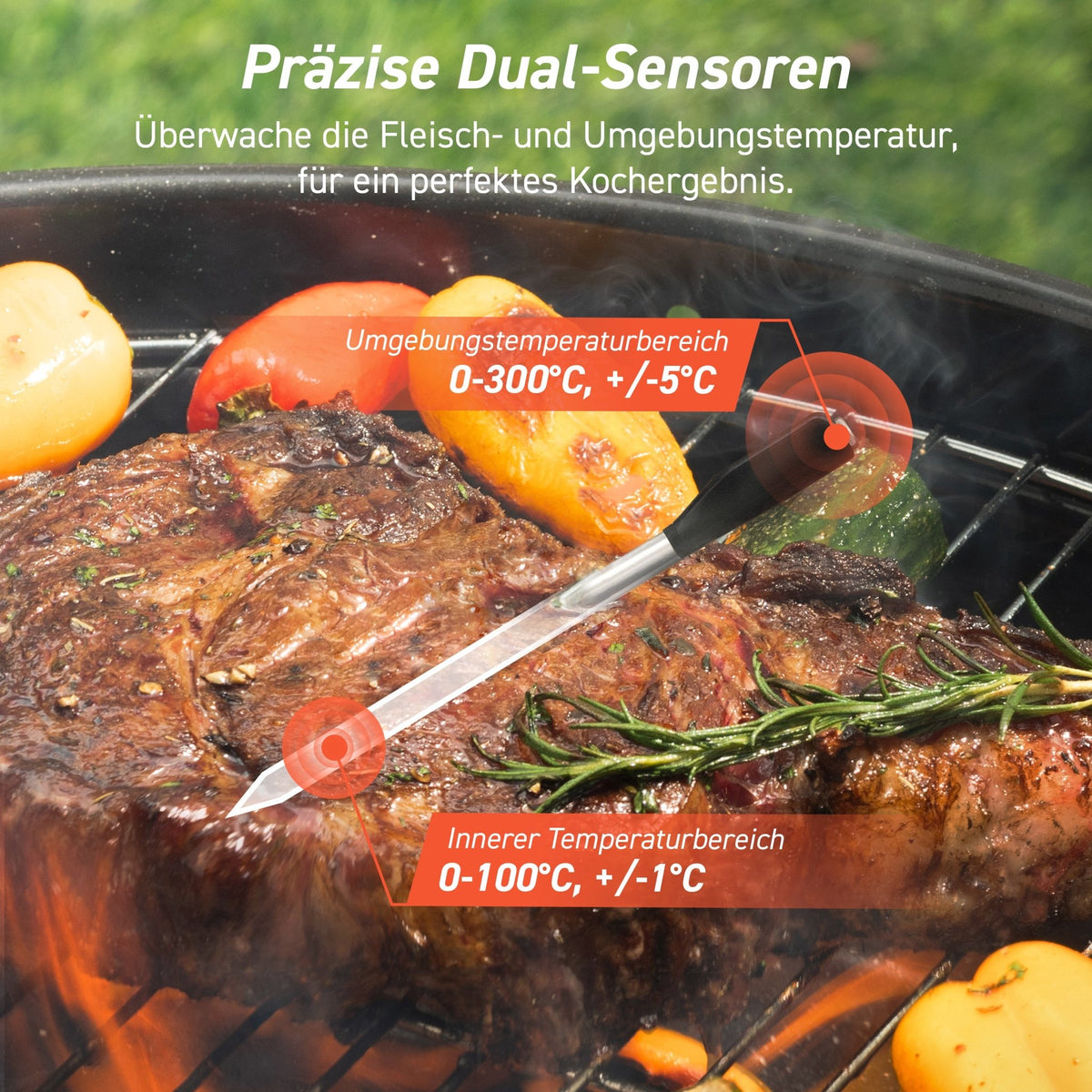 Präzise Dual-Sensoren zur gleichzeitigen Messung von Kerntemperatur und Umgebungstemperatur